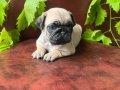 Irkının en iyisi Krem/Siyah PUG MOBS bebeklerimizz