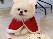 Şeker mi seker :)