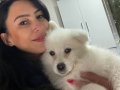 Samoyed yavrularım ırk ve sağlık garantilidir 